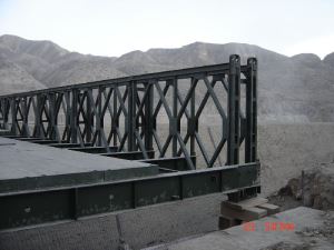 Ponte de pista dupla